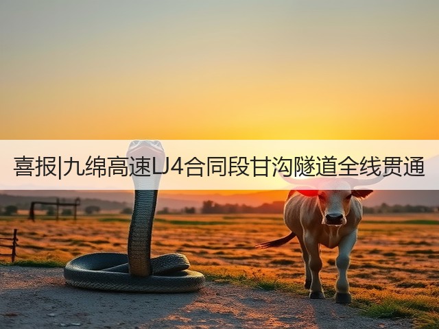 喜报|九绵高速LJ4合同段甘沟隧道全线贯通(图2) 喜报|九绵高速LJ4合同段甘沟隧道全线贯通(图2)