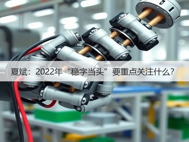 夏斌：2022年“稳字当头”要重点关注什么？(图2)