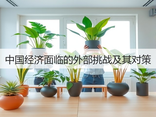 中国经济面临的外部挑战及其对策(图3) 中国经济面临的外部挑战及其对策(图3)