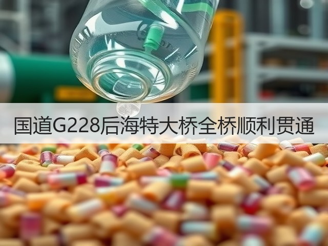 国道G228后海特大桥全桥顺利贯通(图3)