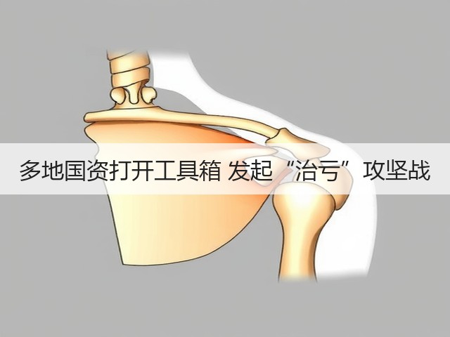 多地国资打开工具箱 发起“治亏”攻坚战(图1) 多地国资打开工具箱 发起“治亏”攻坚战(图1)