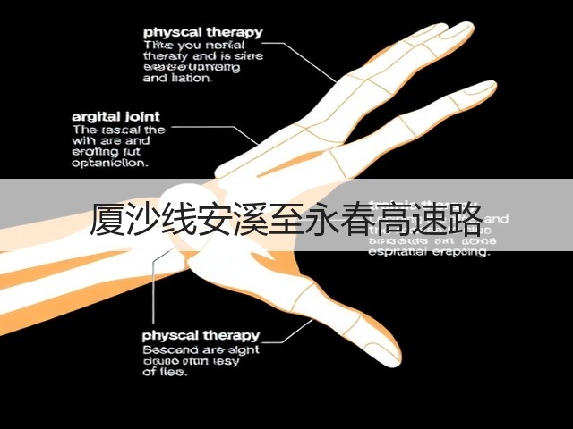 厦沙线安溪至永春高速路(图1) 厦沙线安溪至永春高速路(图1)