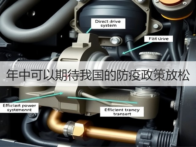 年中可以期待我国的防疫政策放松(图1)