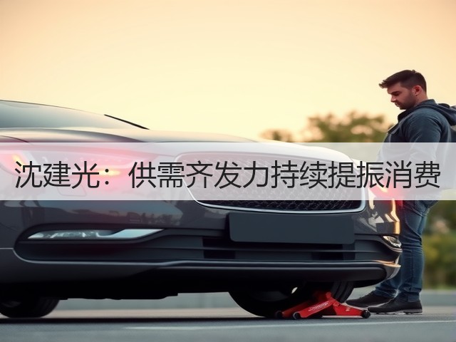 沈建光:供需齐发力持续提振消费(图2) 沈建光:供需齐发力持续提振消费(图2)