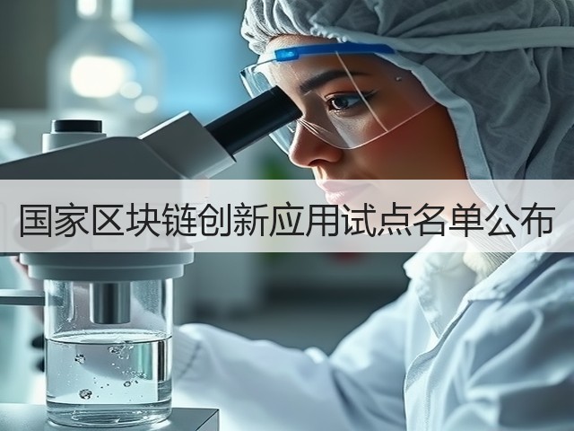国家区块链创新应用试点名单公布(图2) 国家区块链创新应用试点名单公布(图2)