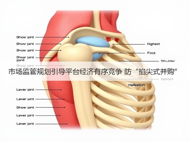 市场监管规划引导平台经济有序竞争 防“掐尖式并购”(图2)