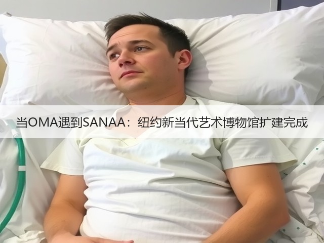 当OMA遇到SANAA:纽约新当代艺术博物馆扩建完成(图3) 当OMA遇到SANAA:纽约新当代艺术博物馆扩建完成(图3)