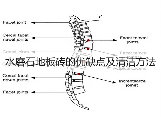 水磨石地板砖的优缺点及清洁方法(图1) 水磨石地板砖的优缺点及清洁方法(图1)