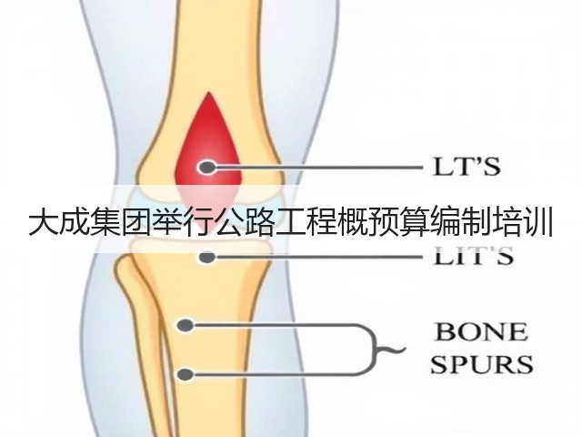 大成集团举行公路工程概预算编制培训(图3)