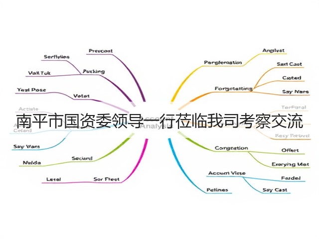 南平市国资委领导一行莅临我司考察交流(图3) 南平市国资委领导一行莅临我司考察交流(图3)