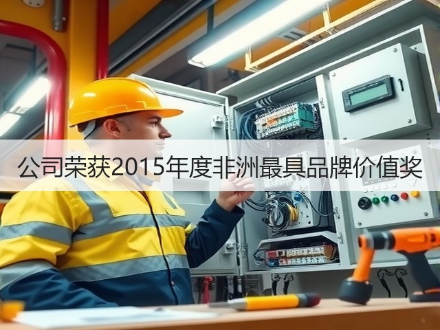 公司荣获2015年度非洲最具品牌价值奖(图2) 公司荣获2015年度非洲最具品牌价值奖(图2)