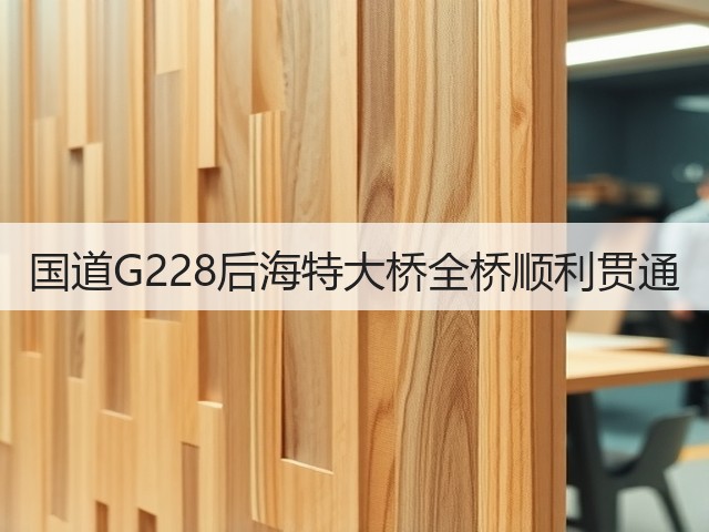 国道G228后海特大桥全桥顺利贯通(图1)