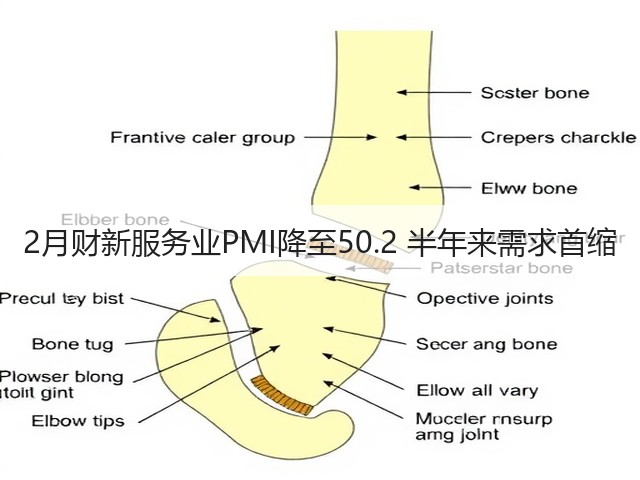 2月财新服务业PMI降至50.2 半年来需求首缩(图1) 2月财新服务业PMI降至50.2 半年来需求首缩(图1)