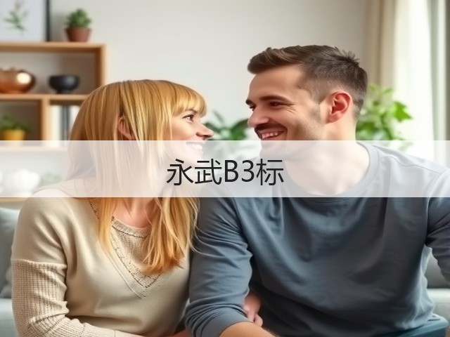 永武B3标(图1)