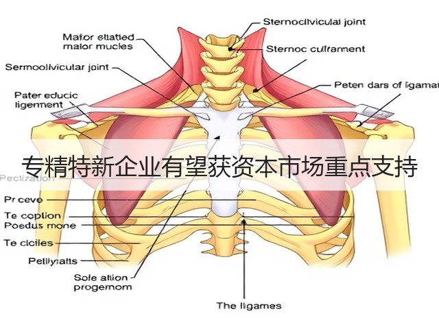 专精特新企业有望获资本市场重点支持(图1) 专精特新企业有望获资本市场重点支持(图1)
