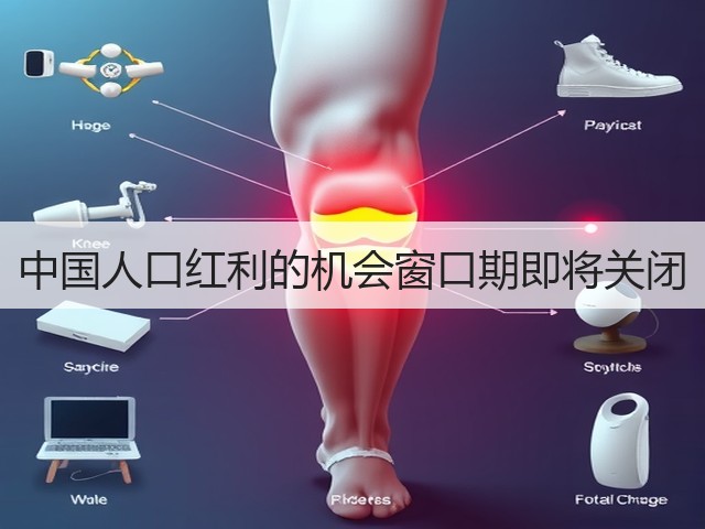 中国人口红利的机会窗口期即将关闭(图1) 中国人口红利的机会窗口期即将关闭(图1)