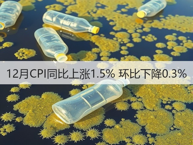 12月CPI同比上涨1.5% 环比下降0.3%(图3) 12月CPI同比上涨1.5% 环比下降0.3%(图3)