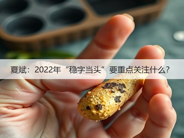 夏斌：2022年“稳字当头”要重点关注什么？(图1)