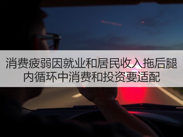 消费疲弱因就业和居民收入拖后腿 内循环中消费和投资要适配(图2) 消费疲弱因就业和居民收入拖后腿 内循环中消费和投资要适配(图2)