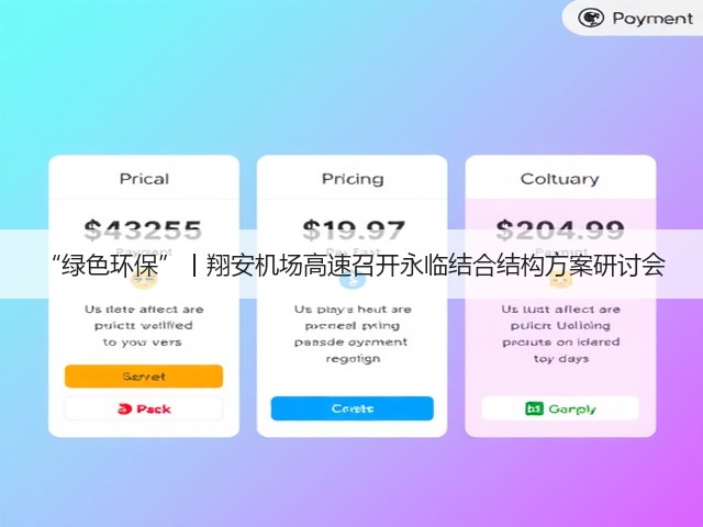 “绿色环保”丨翔安机场高速召开永临结合结构方案研讨会(图3)