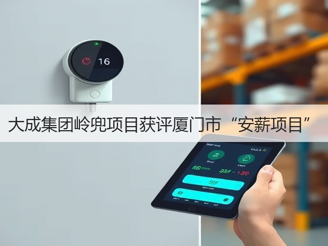 大成集团岭兜项目获评厦门市“安薪项目”(图3)