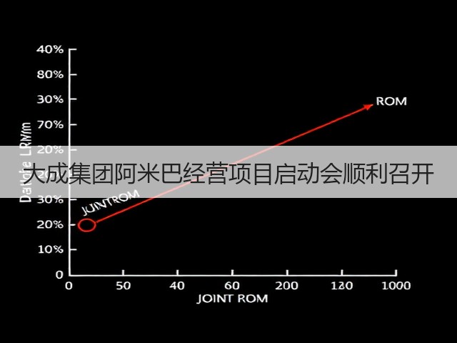 大成集团阿米巴经营项目启动会顺利召开(图1) 大成集团阿米巴经营项目启动会顺利召开(图1)