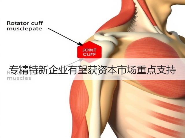专精特新企业有望获资本市场重点支持(图3) 专精特新企业有望获资本市场重点支持(图3)