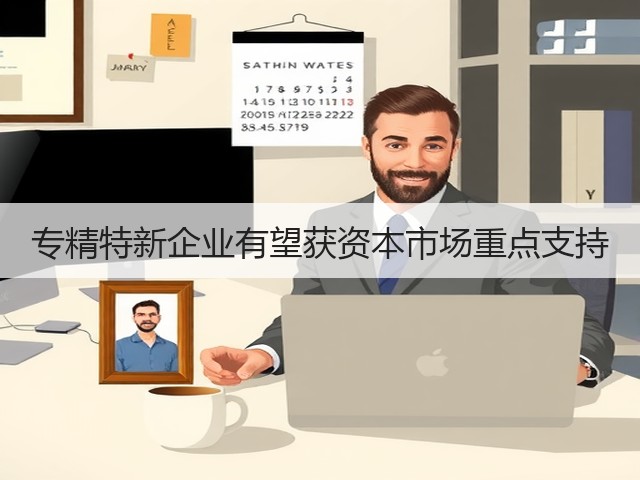 专精特新企业有望获资本市场重点支持(图3) 专精特新企业有望获资本市场重点支持(图3)