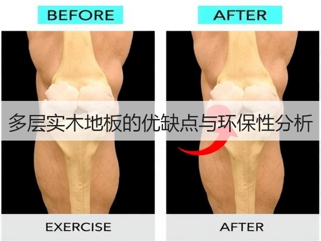 多层实木地板的优缺点与环保性分析(图1) 多层实木地板的优缺点与环保性分析(图1)