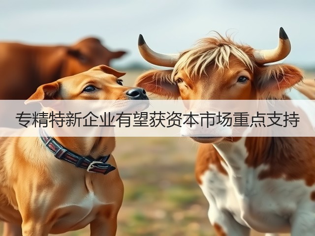 专精特新企业有望获资本市场重点支持(图2) 专精特新企业有望获资本市场重点支持(图2)